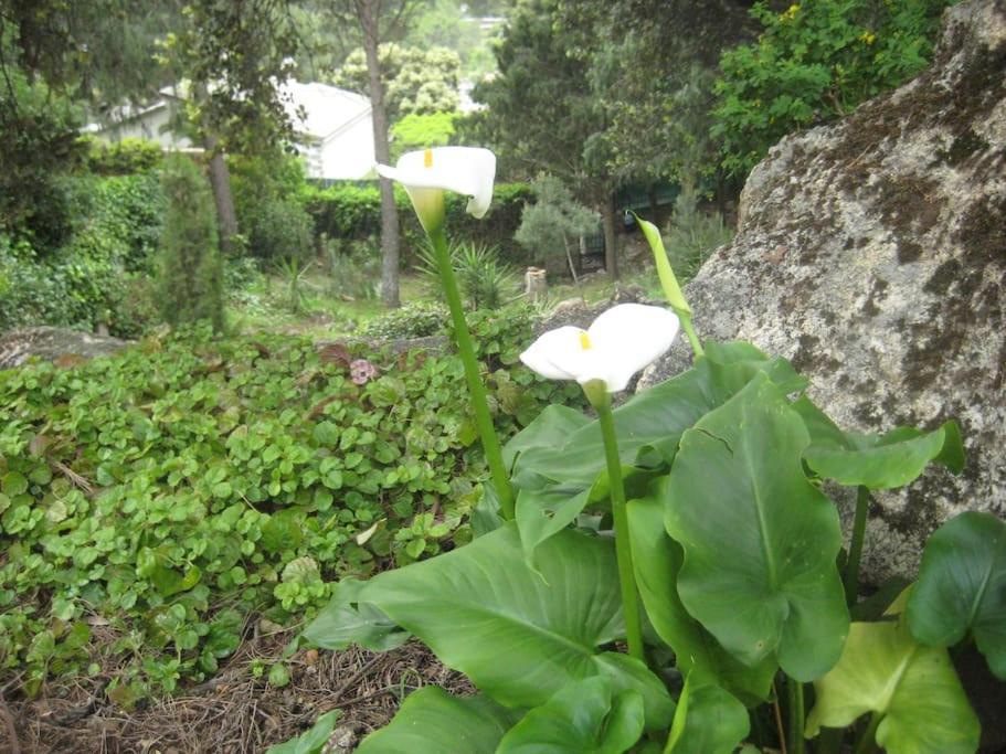 소티요 데 라 아드라다 La Rocalla Del Tietar 빌라 외부 사진